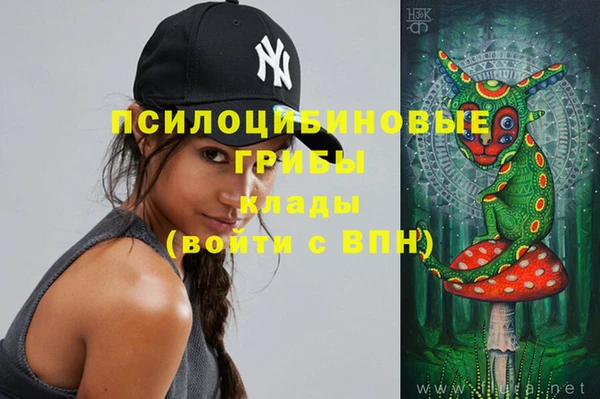 ГАЛЛЮЦИНОГЕННЫЕ ГРИБЫ Белоозёрский
