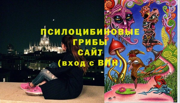бошки Снежногорск